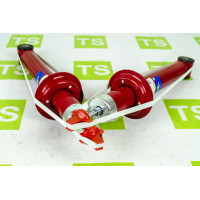 Амортизаторы задние газомаслянные DEMFI Премиум Кросс с завышением 15 мм для Калина, Калина 2, Гранта, Гранта FL