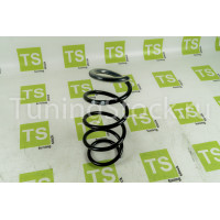 Пружина передней подвески на Икс Рей