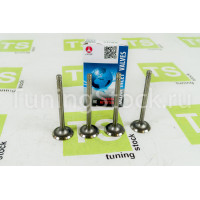 Комплект клапанов впускных AMP азотированные для ВАЗ 2101-2107, Нива 4х4, Шевроле/Лада Нива 2123