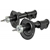 Передние стойки саморегулирующиеся Технологии Будущего для Веста, Веста SW