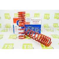 Пружины задние Фобос Спорт с занижением 50 мм для Калина, Калина 2 Пружины задние Фобос Спорт с занижением 50 мм для Калина, Калина 2