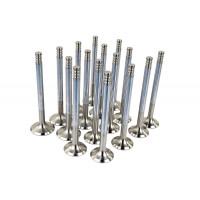 Комплект клапанов для 16 кл Гранта, Приора, Калина, ВАЗ 2110-2112 Комплект клапанов для 16 кл Гранта, Приора, Калина, ВАЗ 2110-2112