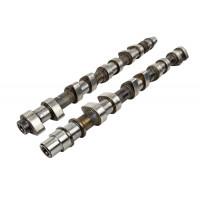 Распредвалы (впускной и выпускной) для 16 кл ВАЗ 2110-2112, 2113, 2114, Веста, Гранта, Калина, Приора, Иксрей, Ларгус