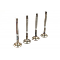 Клапана впускные Avtostandart для Приора, Калина 2, Калина, Гранта, Ока, ВАЗ 2113-2115, 2110-2112, 2108-21099