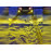 Диодные ПТФ Sal-Man двухцветные (бело-синий 6000К и желтый 3000К) 50W для Калина, Калина 2, Гранта, Ларгус, Датсун до 2019 года, УАЗ Патриот