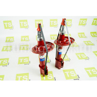 Стойки передней подвески газомасляные DEMFI Премиум для Иксрей