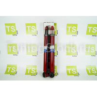 Амортизаторы задней подвески газомасляные DEMFI Премиум для Иксрей