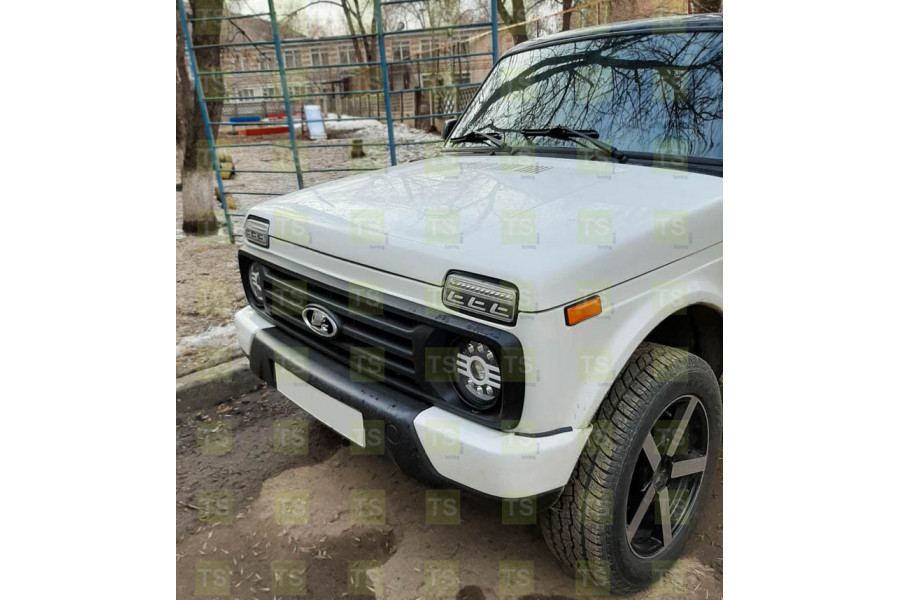 Нива тонированная в круг