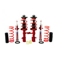 Газомаслянная подвеска Demfi Premium в сборе с занижением 30 мм для Калина