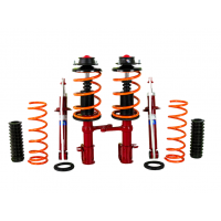 Газомаслянная подвеска Demfi Premium в сборе с занижением 50 мм для ВАЗ 2113-2115, 2108-21099