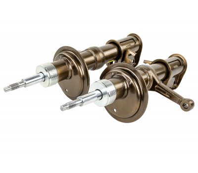 Стойки передние масляные АСТОН с занижением 70 мм для ВАЗ 2113-2115, 2108-21099 Стойки передние масляные АСТОН с занижением 70 мм для ВАЗ 2113-2115, 2108-21099