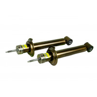 Амортизаторы задние масляные АСТОН с занижением 50 мм для ВАЗ 2113-2115, 2108-21099