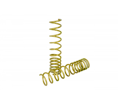 Пружины холодной навивки задней подвески SS20 Gold Progressive (переменный шаг) для универсалов Приора, Калина 2, ВАЗ 2111