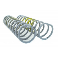 Пружины задней подвески Avtostandart с желтой меткой для ВАЗ 2101-2107