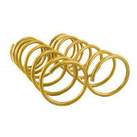 Пружины передней подвески холодной навивки SS20 Gold Progressive с переменным шагом для 16-клапанных ВАЗ 2110-2112