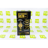Пружины холодной навивки задней подвески SS20 Gold Progressive (переменный шаг) на ВАЗ 2110, 2112, Приора седан и хэтчбек