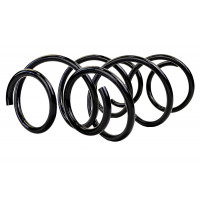 Пружины задней подвески Технорессор с завышением 20 мм для Иксрей