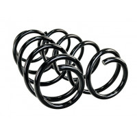 Пружины передней подвески Технорессор с завышением 20 мм для Иксрей