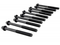 Комплект болтов ГБЦ BYSUN PARTS для 16 кл Ларгус