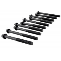 Комплект болтов ГБЦ BYSUN PARTS для 16 кл Ларгус Комплект болтов ГБЦ BYSUN PARTS для 16 кл Ларгус