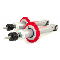 Амортизаторы задние SS20 Стандарт для ВАЗ 2110, 2111, 2112, Калина