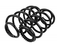 Пружины передней подвески AutoProduct с занижением 50мм для Гранта, Гранта FL, Калина, Калина 2, Приора, Датсун Пружины передней подвески AutoProduct с занижением 50мм для Гранта, Гранта FL, Калина, Калина 2, Приора, Датсун