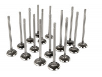 Комплект впускных и выпускных клапанов BESTAUTO под двигатель K4M для 16 кл Ларгус