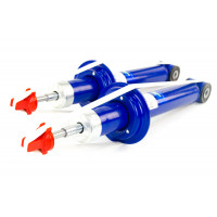 Амортизаторы задние DEMFI Комфорт газомаслянные для Калина