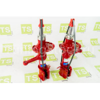 Передние стойки DEMFI Премиум с занижением - 50 мм газо-масло Приора