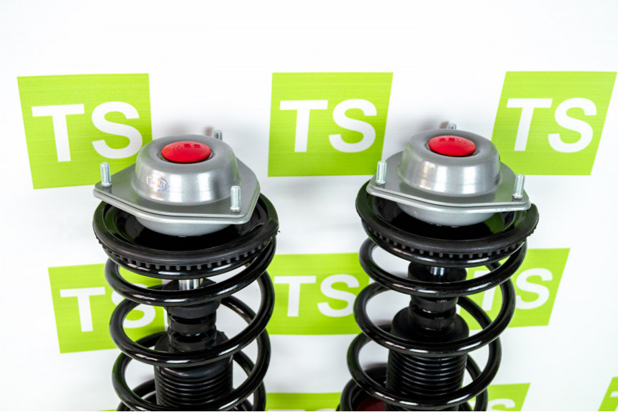 Купить газомасляную подвеску в сборе без занижения для ВАЗ 2110, 2111, 2112