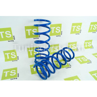 Пружины Технорессор задней подвески с занижением 90 мм для Приора Пружины Технорессор задней подвески с занижением 90 мм для Приора