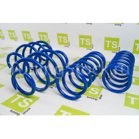 Комплект передних и задних пружин Технорессор с занижением 90 мм для Калина